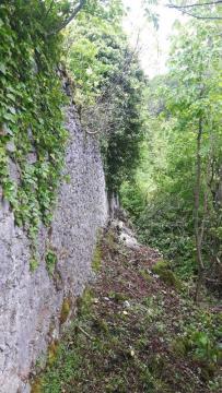 Poteka druga faza čiščenja obzidja Starega gradu 1